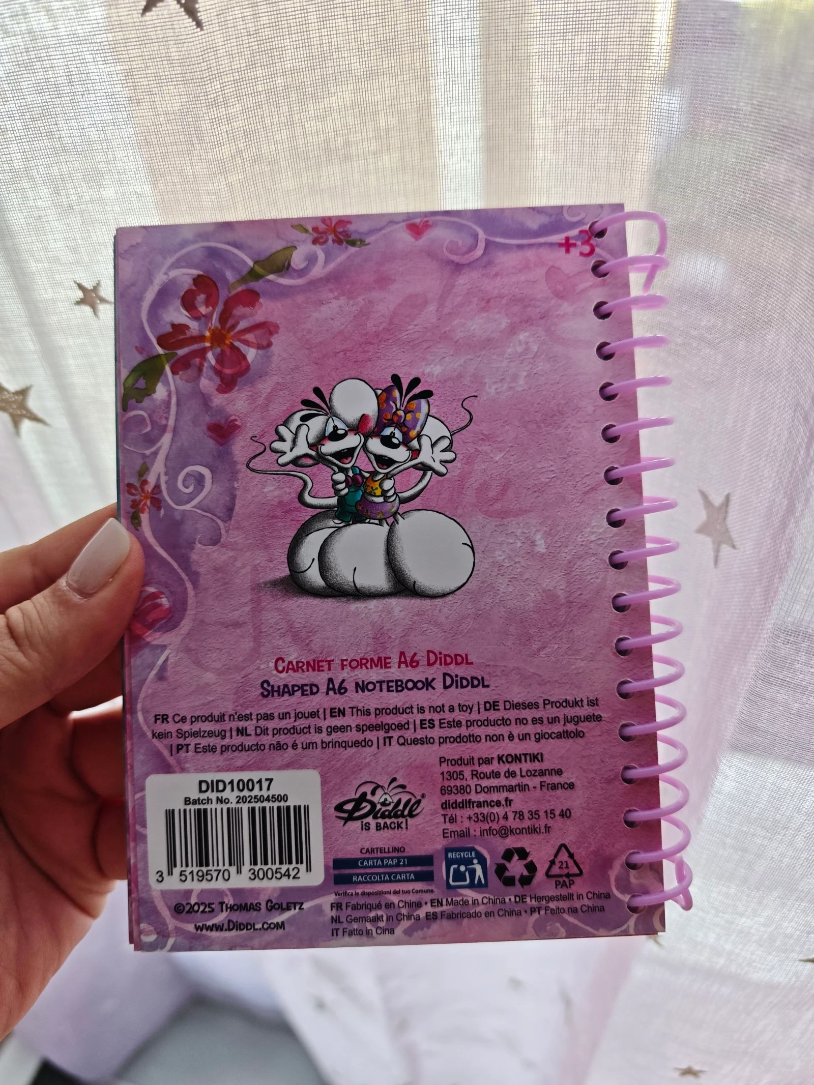 Petit cahier carnet Diddl is Back Diddlina Danseuse France A6 – photo 2